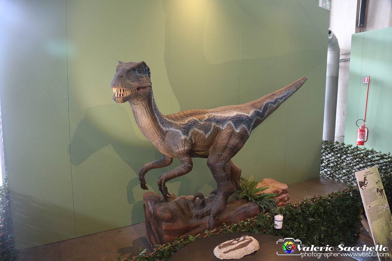 VBS_1059 - Dinosauri. Terra dei giganti.jpg